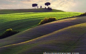 2022年事业有变动的生肖 思想活跃的生肖猴