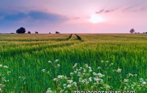 天生是商业奇才的生肖女 聪明低调的属蛇女