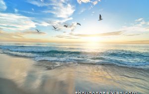 大富大贵的三大生肖女人 独立善良的生肖龙