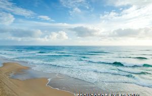 事业能力差的生肖女 工作发展艰难