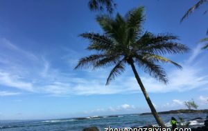 2022年生肖猴桃花运旺的月份 有什么要注意的