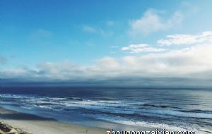 2021年牛宝宝属相