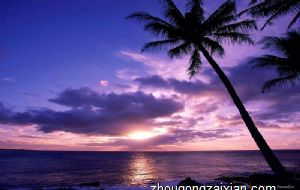 2021年适合要牛宝宝的属相