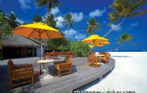 牛年不适合生宝宝的属相