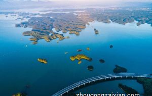 2021年属狗和属猪人婚姻怎么样