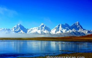 脾气特好很有耐心帮助别人的生肖