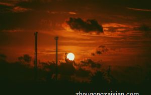 失恋却强装潇洒的生肖