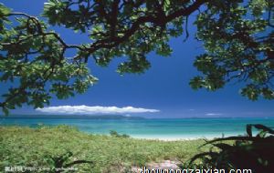 渣男遇到也没辙的三大生肖女