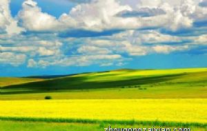 度量很大值得交朋友的生肖