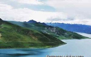 心善钱多的三大生肖