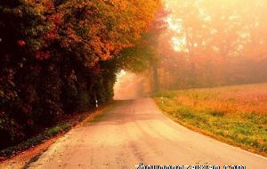 喜欢无病呻吟 总是故作深沉的生肖