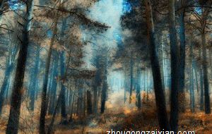 单纯不懂人心险恶的生肖