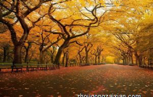 不知好歹经常选择性遗忘他人恩惠的生肖