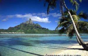 三大外热内冷的生肖