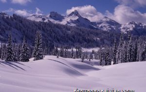 属牛好还是2022属虎好 2021 2022哪年要宝宝好