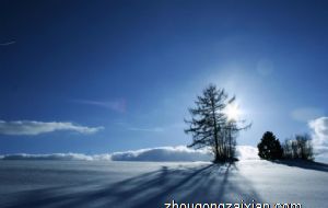 1968猴婚姻不顺 性格分析