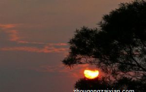 逛街时看什么都想买的生肖女