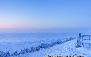 生活在云端 不够接地气的生肖