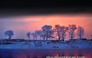 神一样的队友 这几大生肖靠谱极了