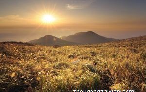 爱和异性搭讪 但撩了人就跑的生肖女