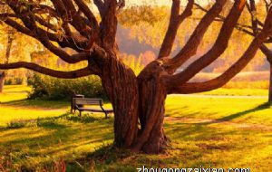 辜负这些生肖女是你自讨苦吃