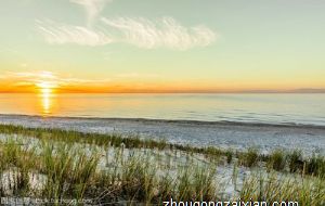 这些生肖让人觉得傻傻的 但心里清楚得很