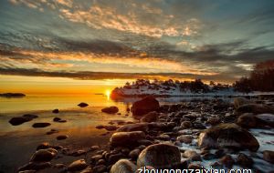 很有可能成为丁克一族的生肖