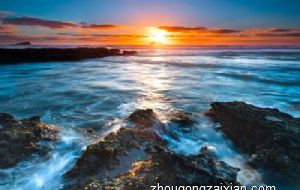 这些生肖的坚韧不拔超乎想象