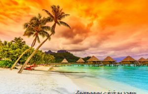 哪些生肖是不想理人就会装内向