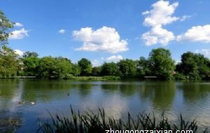 桃花非我所欲 这些生肖快被艳遇烦透了