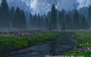 十二生肖纪念酒各自对应的是什么酒