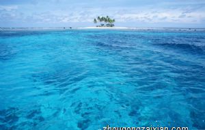 十二生肖悲伤为什么放弃治疗