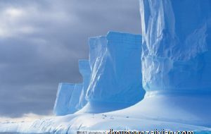 春夏秋冬 四季笑容不散的四大生肖