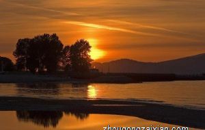 一张嘴就把天聊死的生肖