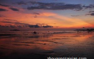 勤勉员工 对工作环境没特殊要求的生肖