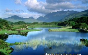 性格豪迈而且能言善辩的生肖女