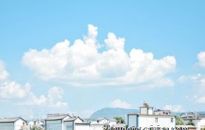 风吹两边倒的三大墙头草生肖