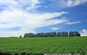 属兔的做什么生意最旺 最佳的创业时间是什么时候