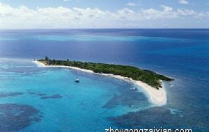 属兔的人在现实生活中总是一幅天生善良无辜的表情 这是真的吗