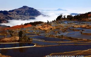 属龙男人想放弃婚姻的表现