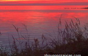 属羊的命运一生怎么样 何时转运