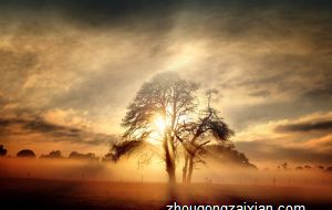 属鸡的本命佛是什么？