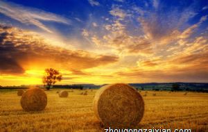 属鼠女人如何对付不重视你的丈夫