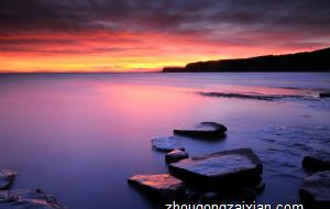 属兔女如何考验暧昧之人的真心