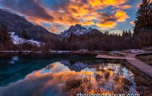 属兔女为什么选择离开一段爱情