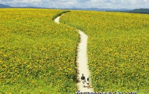 这些生肖真实不做作 相处起来很舒服