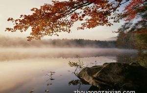 不轻易生气 专注于自己努力的生肖