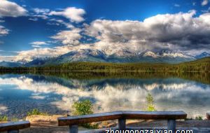 办事靠谱能力强 让人放心的生肖