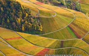 属蛇女生如何面对男友的分手短信