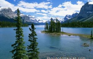 属羊的命不好是真的吗 有办法改变吗